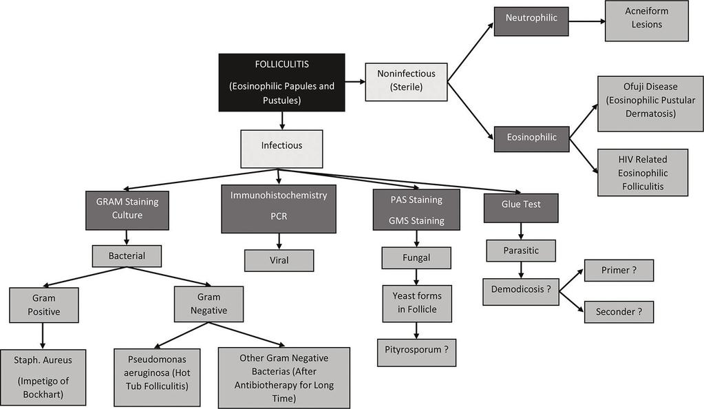 Histopathologic Evaluation of Acneiform Eruptions: Practical Algorithmic Proposal for Acne Lesions http://dx.doi.org/10.
