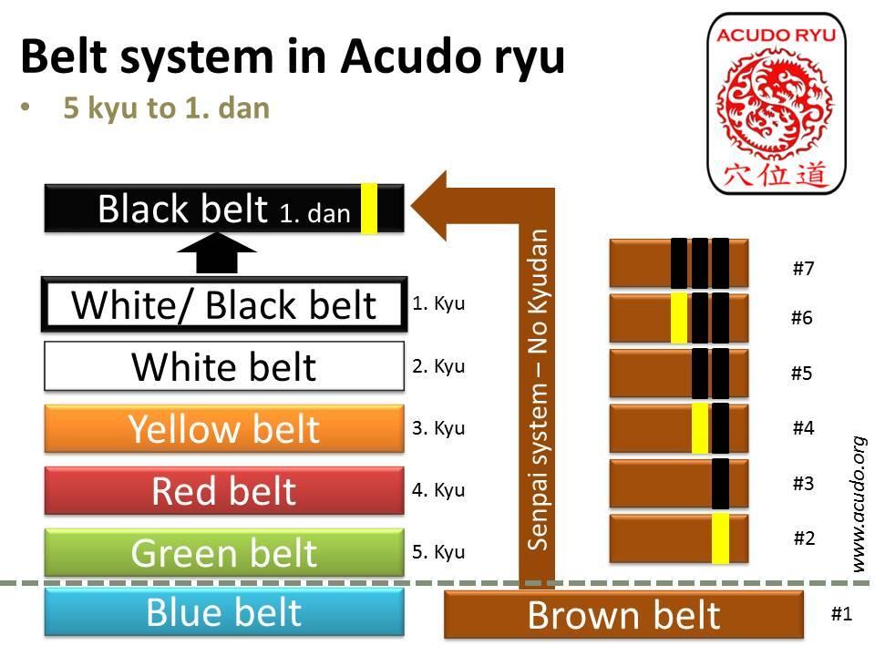 Rules for examinations in Acudo ryu