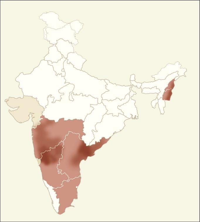 Gujarat Jaipur Rajasthan Ahmadabad Mumbai Goa Srinagar Jammu Punjab Chandigarh New Delhi Maharashtra Pune Karnataka Bangalore HIV Prevalence in India in 2005.