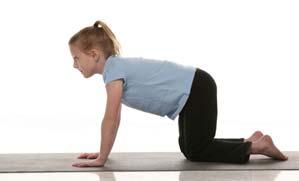 Spinal Balance Step 1 Step 2 Warms Up: Back and Spine Hips and Legs Arms and Shoulders Start on all