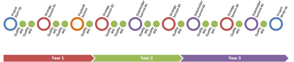 NQF Serious Illness Initiative Goals and Timeline 1.