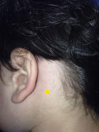 Locations Head Er hou gao gu- big bone behind the ear Behind the earlobe at the apex of the mastoid process Rou