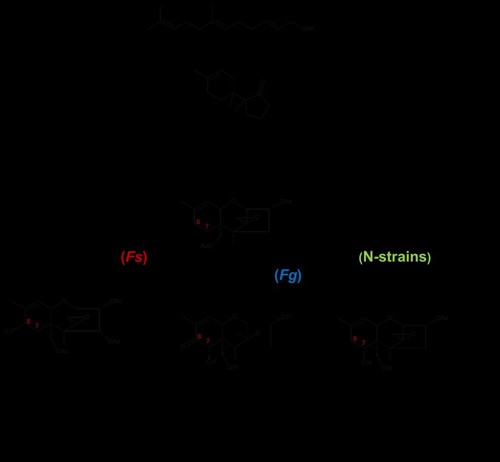 Biosynthetic pathway proposed pathway to NX-2 Todd