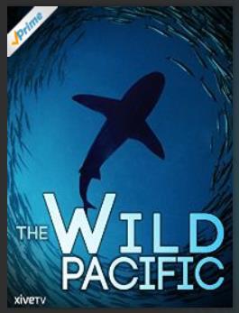 Video Complete The Wild Pacific worksheet, identifying the marine organisms as you watch the video. The Wild Pacific worksheet can be located @ http://www.steilacoom.k12.wa.us/page/5717 The Wild Pacific (52 min.