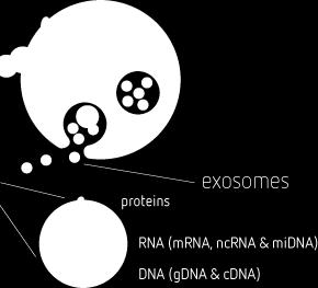 THE CONTENT OF EXOSOMES IS ENRICHED IN INFORMATIVE MATERIAL THAT