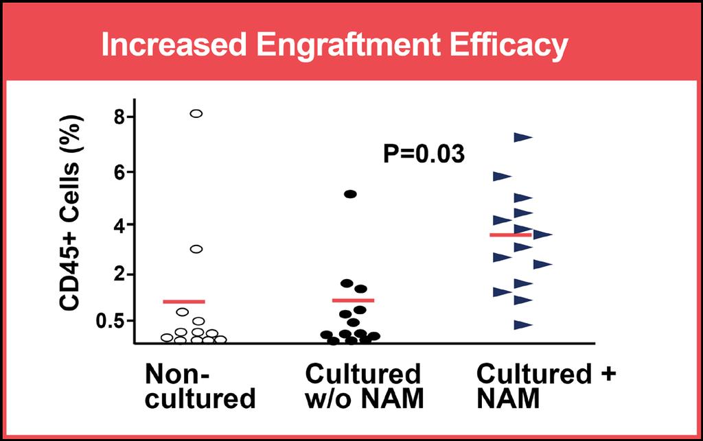 proliferation while preserving stem cells O NH 2 N NAM