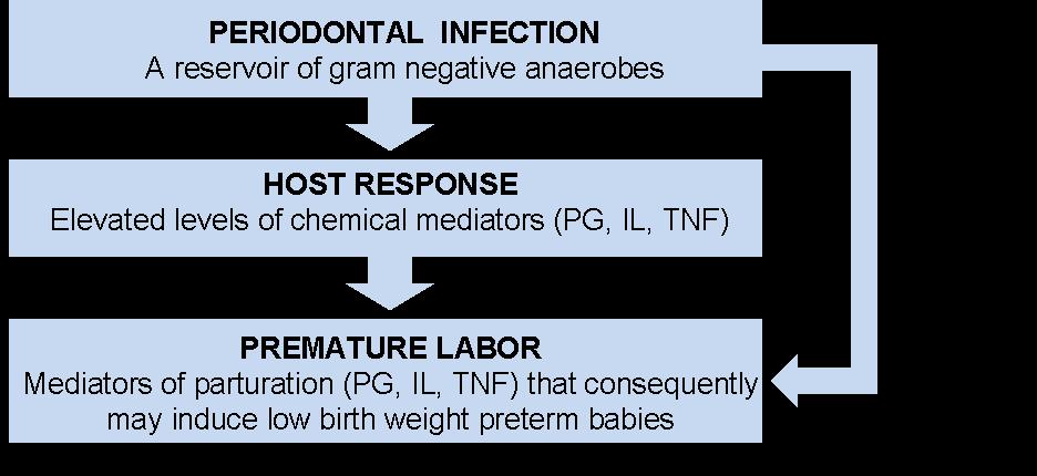 Mechanisms for Preterm Birth 8 Chart courtesy of: Kumar