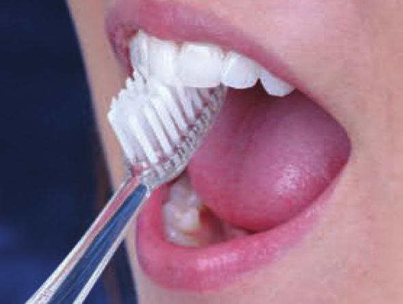 position of the toothbrush with small back and forth