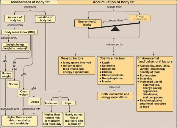 Key Concept Map For Obesity Lippincott s Illustrated