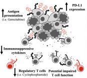 T-cell Regulatory Apoptotic Apoptotic antigen- Neutrophil Macrophage MHC1Danger signal PD-1