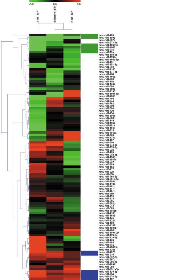 Expression levels of the six up- and downregulated mirnas in developing embryos derived from B[a]P