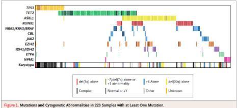 Point Mutations in MDS Bone marrow from 439 pts with MDS analyzed for mutations.