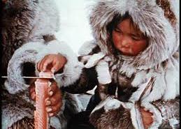 Traditional Diets - Inuits Animal Foods - Seal &