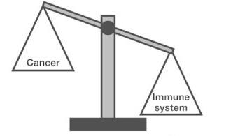 Concept of immune evasion Finn O. J.