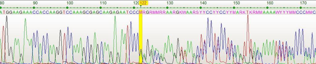 Allele-specific PCR