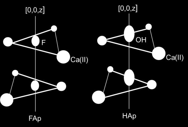 Ca(I)O 9 polyhedron In the apatite structure, the ten calcium ions in the unit cell exist in two polyhedral.