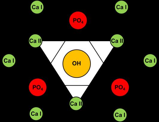 In the late 1960s, the molecular structure of apatite was determined by Kay, Posner and Young using single crystal X-ray and neutron diffraction (Kay et al., 1964). Robinson et al.