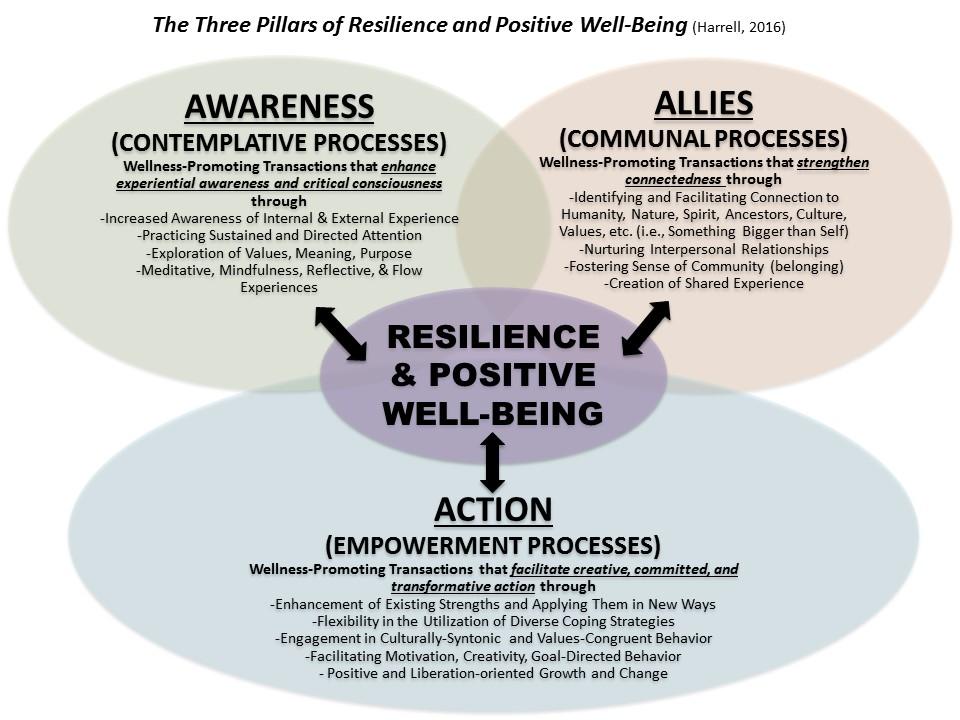 Three Pillars of Resilience and Positive Well-Being AWARENESS = Contemplative Processes ( Consciousness ; Attention-Regulation) ALLIES