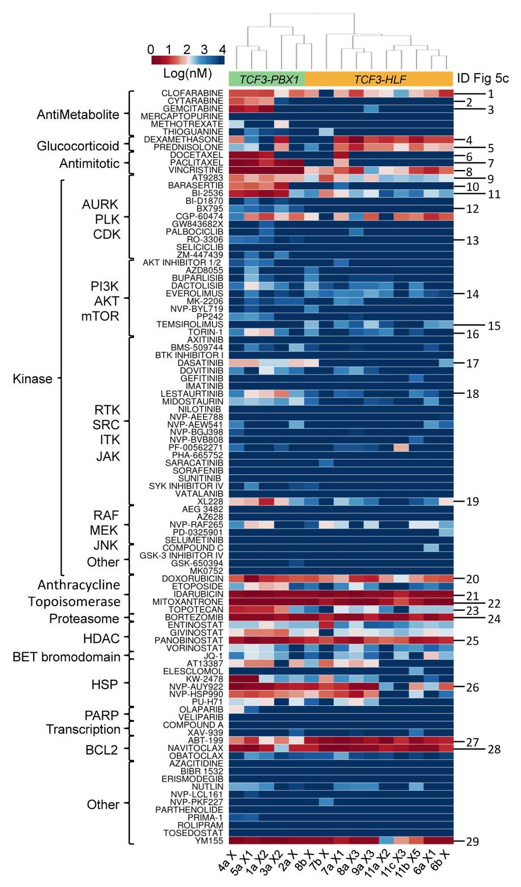 Supplementary Figure 10 Drug profiling of TCF3-PBX1 and TCF3-HLF ALL xenografts derived from diagnostic, MRD and relapse samples.