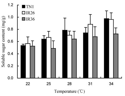 Resistance of TN1, IR26 and IR36 to BPH under natural temperature. the medium and high resistance of IR36 to BPH.