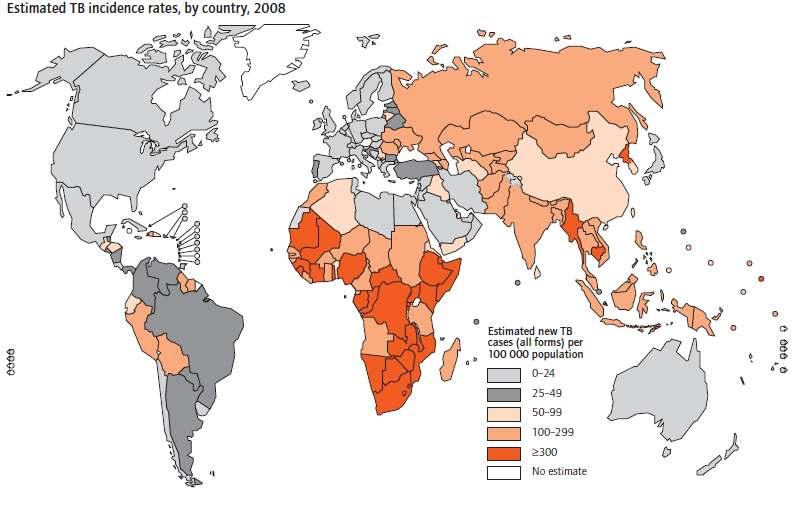Ten Countries with highest number of people with diabetes in 2010 DM increases the risk of adverse TB treatment
