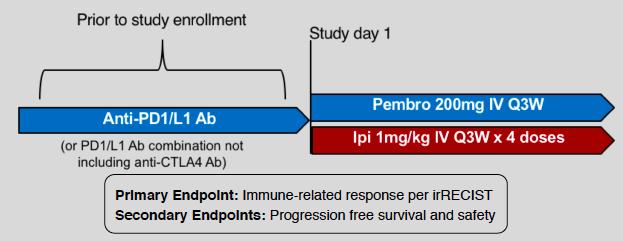 Phase II: Pembro + Ipi 1mg/kg immediately following progression on