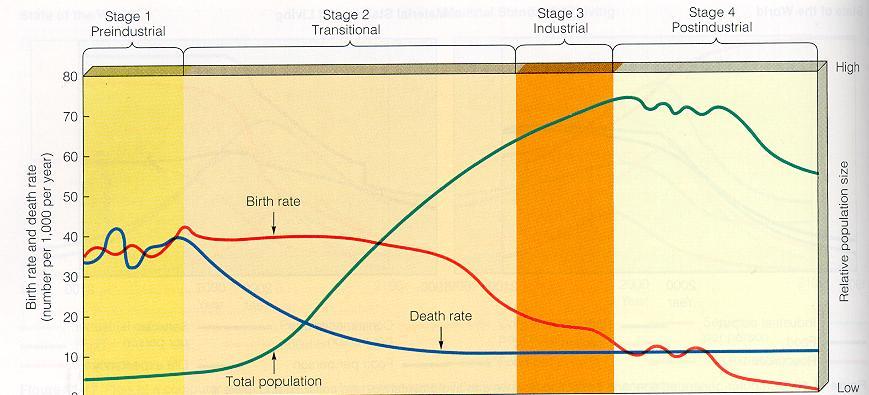 Name Block Partner s Name Historically, death rates and birth rates have been high in human populations. As long as birth rate = death rate, then the population doesn t grow.