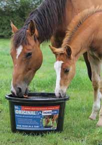 in forage and grazing. Reduces boredom and stress. Very palatable and easy to digest, Horslyx can be fed to all types and ages of horses and ponies and is suitable for feeding all year round.