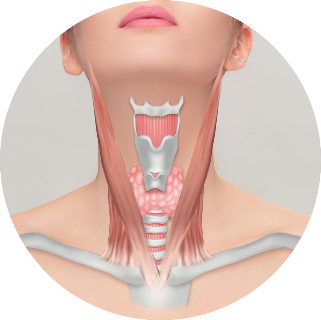 2ml per bolus at the superficial subcutaneous layer Lateral indications Draw a line from the medial border of sternocleidomastoid muscle (SCM) to the sternal on both sides of the neck 2 Midline