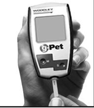 It is suggested that you review your testing procedure and test again with a new g-pet Test Strip to confirm the result. 6.
