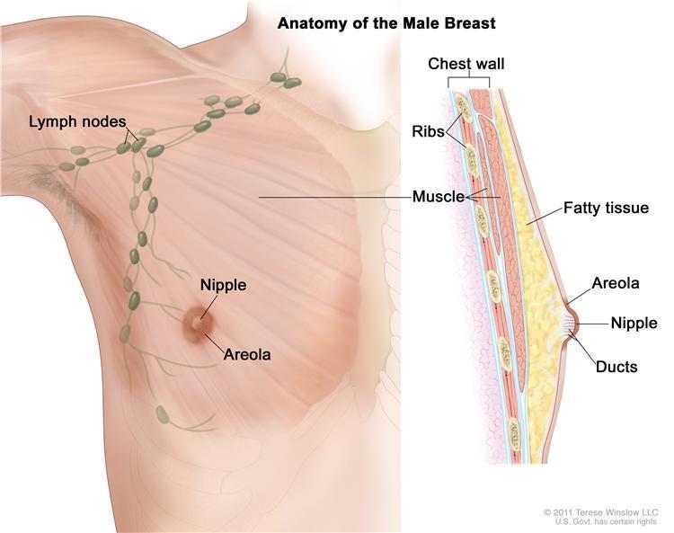 IS IT BREAST CANCER? Cancer is a group of many related diseases that begin in cells, the body s basic units of life.