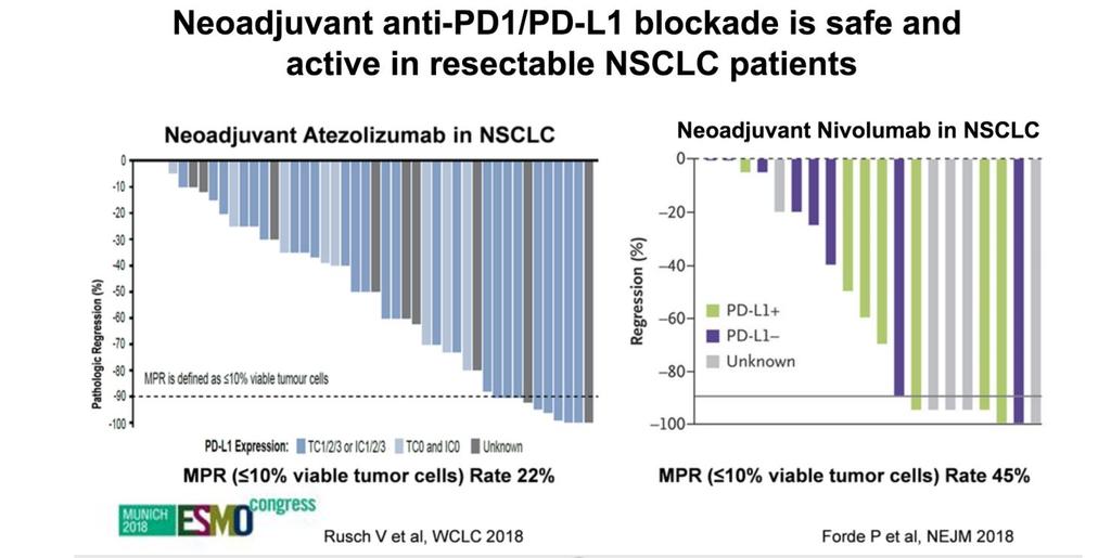 Anti PD1/PD-L1 in the neoadjuvant setting No delay of surgery (surgical