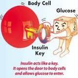Blood Sugar 101 The cells are locked and insulin is the