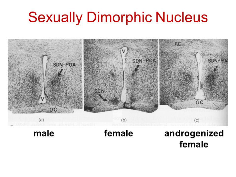 Sexual Dimorphism Differences in