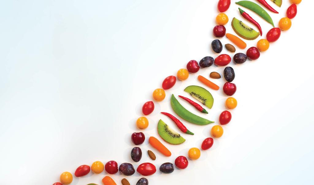 Nutri-Genomics Focuses on how food constituents impact gene expression How a particular food affects gene