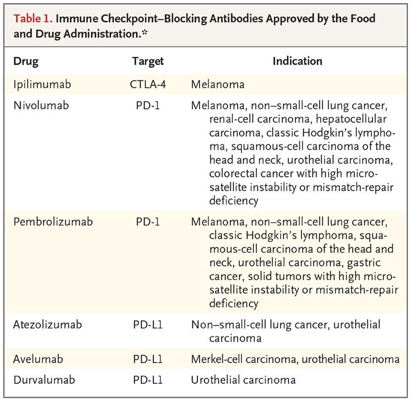 Immune check point inhibitors are monoclonal antibodies that block these immune checkpoint proteins CTLA-4, PD -1 and PD-L1 leading to stimulation and proliferation of activated T-lymphocytes against