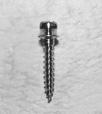 588.e2 Motoyoshi et al American Journal of Orthodontics and Dentofacial Orthopedics May 2010 Fig 1. The commercial titanium mini-implant (ISA orthodontic implants, Biodent, Tokyo, Japan) with a 1.