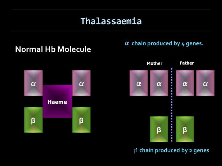 (Fig. 1) Hemglbin mlecule simplified structure & inheritance f alpha and beta chain f hemglbin. What Are The Clinical Types Of Thalassaemia?
