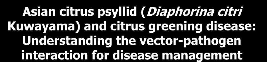 Asian citrus psyllid (Diaphorina citri Kuwayama) and citrus greening disease: