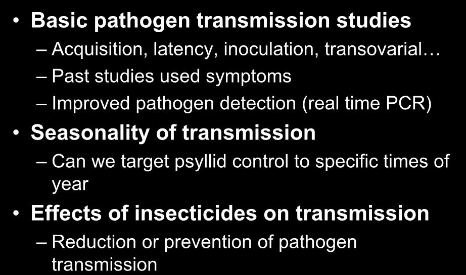 Current Research Focus Basic pathogen transmission studies Acquisition, latency, inoculation, transovarial Past studies used symptoms Improved pathogen detection (real time