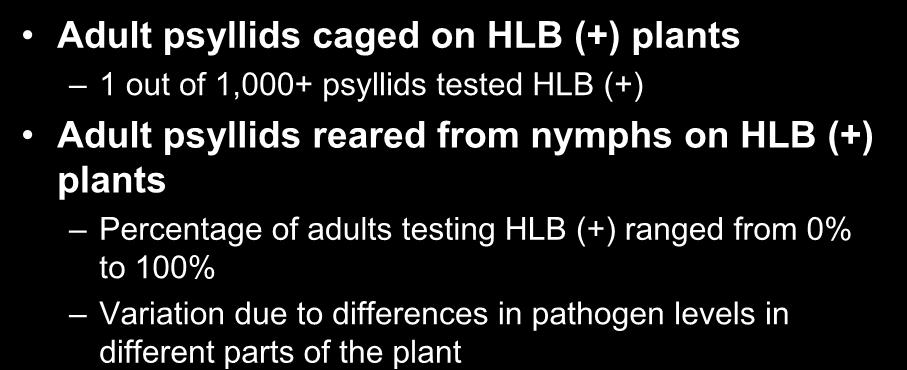 Psyllid Acquisition Rates (field studies) Adult psyllids caged on HLB (+) plants 1 out of 1,000+ psyllids tested HLB (+) Adult psyllids reared from nymphs