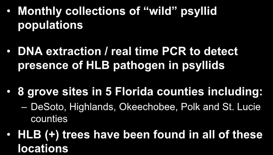 Seasonal Psyllid Infection Rates Monthly collections of wild psyllid populations DNA extraction / real time PCR to detect presence of HLB pathogen in psyllids