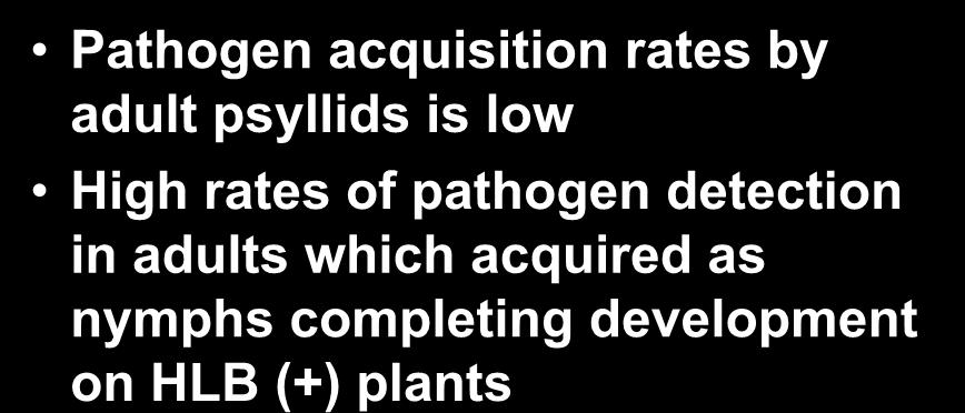 Summary of Results to date Pathogen acquisition rates by adult psyllids is low High rates of