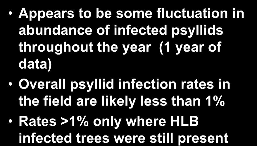Summary of Results to date Appears to be some fluctuation in abundance of infected psyllids throughout the year (1 year of