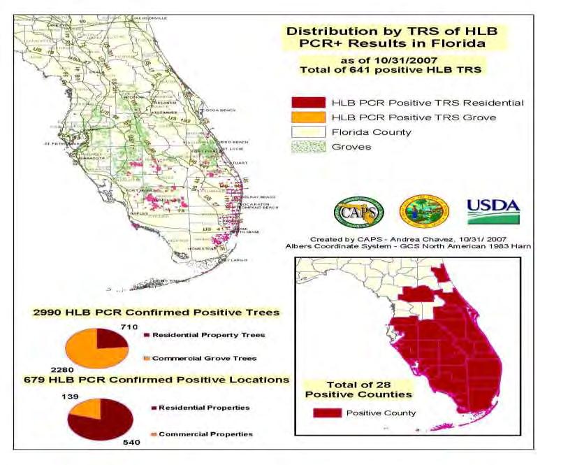 Citrus greening pathogen found in Florida in August 2005 Now spread
