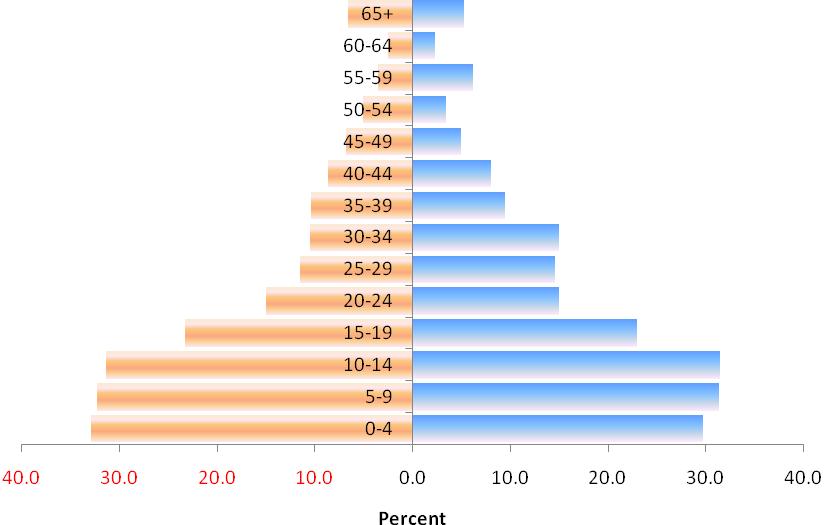 Population Pyramid: Age and Sex structure of the population, Aug.