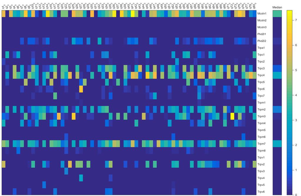 Figure 5.2: Nonselective cation channel expression analysis A) A) Heatmap depicting the expression of TRP channels genes in all GAD positive cells.