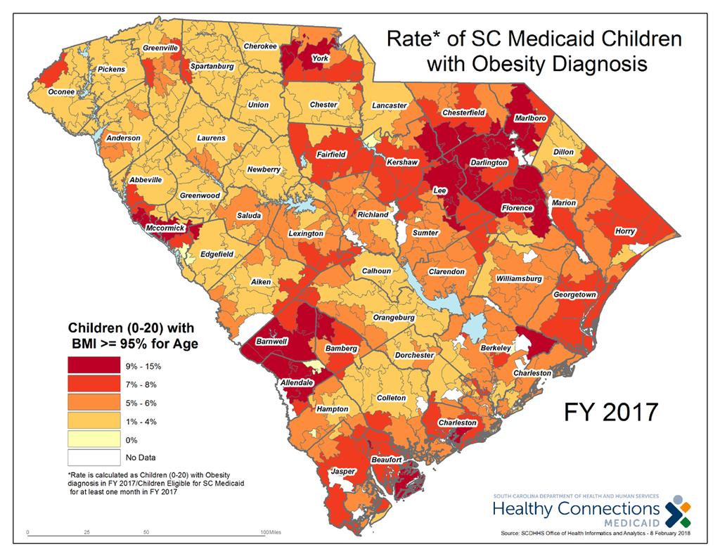 2017 SC Medicaid Child Population Source: