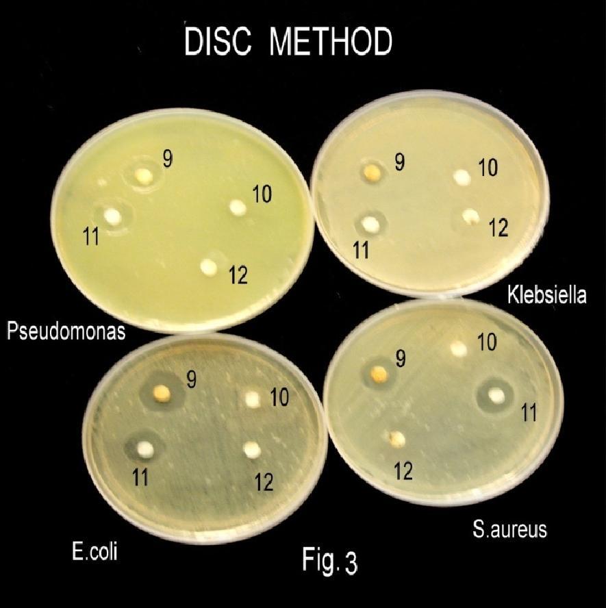 Figure 4 Assessment of antibacterial activity by disc diffusion * 9. M.charantia ethanol extract, 10. M.charantia pet. extract, 11. M.charantia Chloroform extract, 12.