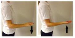 Bend and straighten your elbow as far as possible without pain until moderate stretch only. Other hand may be used to assist this movement. Repeat exercise 10-15 times.